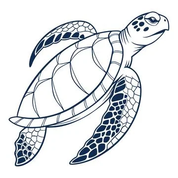 Turtle design clean vector white background no t Illustrazione stock