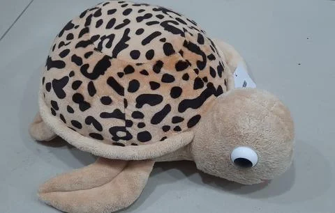 Turtle Dolls Stock Photos