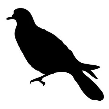 Turtle Dove Ilustración de archivo