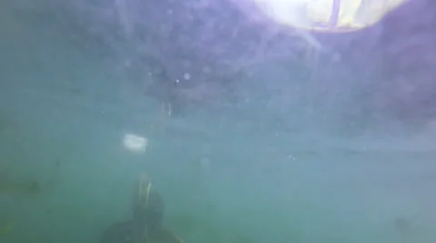 Turtle Eats Bread and Swims Close  Video stock 65063075