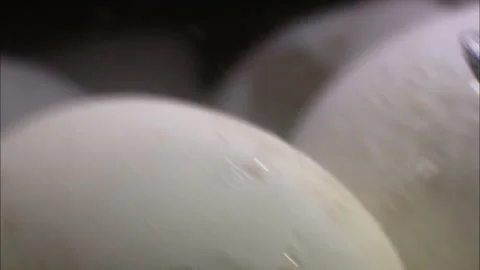 Turtle eggs hatch close up. Stock Footage 132406260