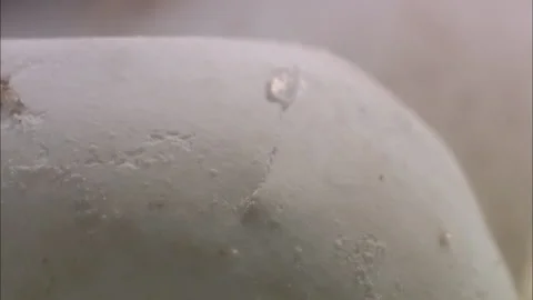 Turtle eggs hatch close up. Stock Footage 132417974