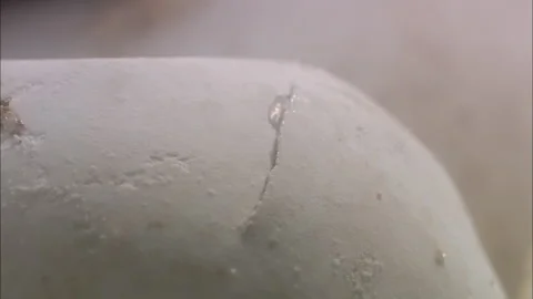 Turtle eggs hatch Stock Footage 132419898