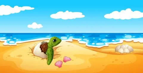 Turtle eggs hatch on sand Stock Illustration