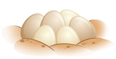 Turtle eggs in the sand Stock Illustration