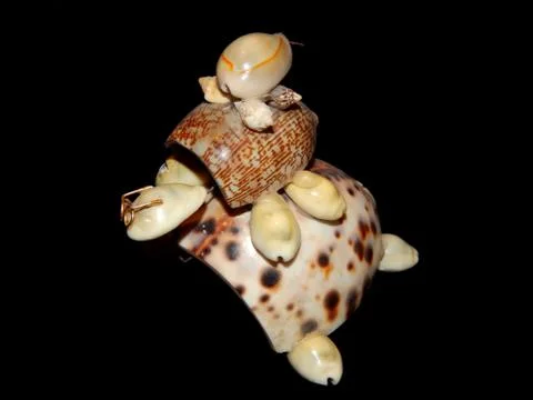 Turtle figurine of sea shells on a black background Stock Photos