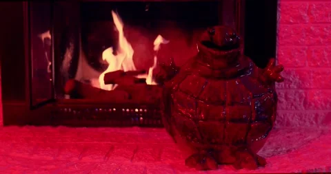 Turtle By The Fireplace Stock Footage 297045367