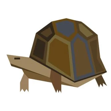 Turtle flat illustration Illustrazione stock
