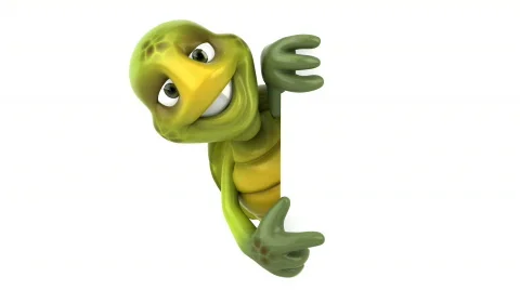 Turtle Stock Footage 503822