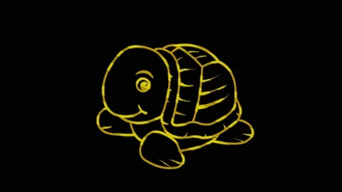 Turtle Stock Footage 153414654