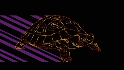 Turtle Stock Footage 153460576