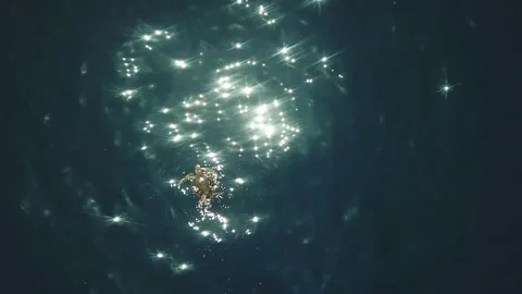 Turtle Footage in 4k, Drone,Water,Beach Stock Footage 132963265