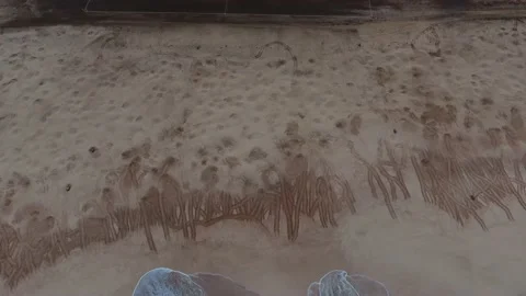 Turtle Footage in 4k, Drone,Water,Beach Stock Footage 133136998