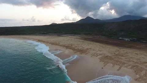 Turtle Footage in 4k, Drone,Water,Beach Stock Footage 133504776