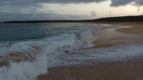 Turtle Footage in 4k, Drone,Water,Beach Stock Footage 133829098