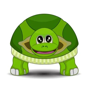 Turtle front view Illustrazione stock