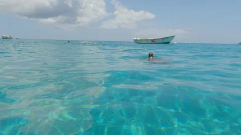 Turtle gasping for air in clear blue waters Curaçao (raw footage) 스톡 동영상 167600737