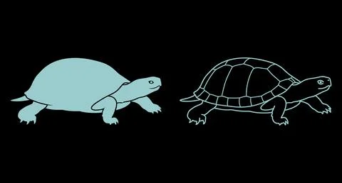Turtle graphic illustration showing solid and outline styles with black Stockillustratie