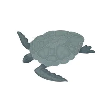 Turtle with gray shell, tortoise reptile animal vector Illustration on a white Illustrazione stock