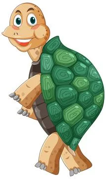 Turtle with green shell cartoon character Stock Illustration
