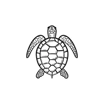 Turtle hand drawn sketch icon. Stock Illustration