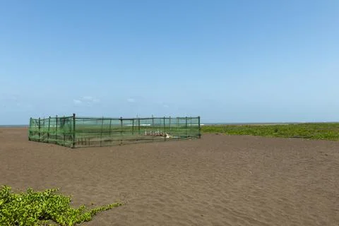 Turtle Hatching Point, Velas, Raigad, Maharashtra, India Stock Photos