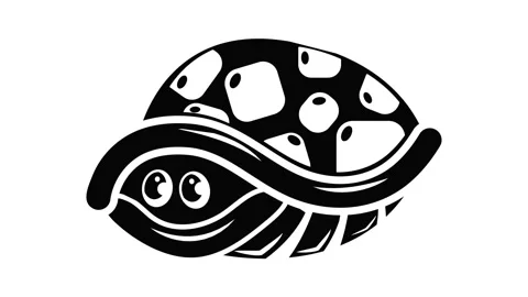 Turtle in house icon animation Stock Footage 156244183