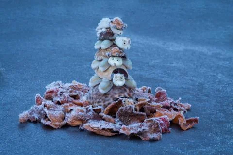 Turtle ice stack Stock Photos