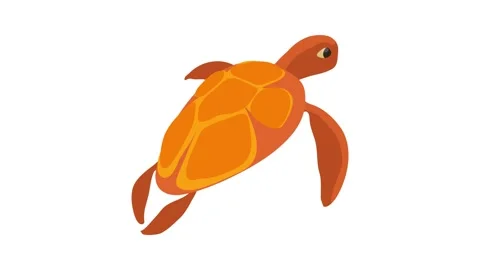 Turtle icon animation Stock Footage 168934152