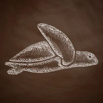 Turtle icon Stock Illustration