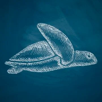 Turtle icon Stock Illustration