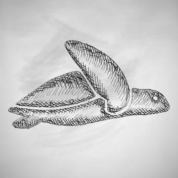 Turtle icon Stock Illustration