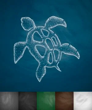 Turtle icon イラスト素材