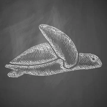 Turtle icon イラスト素材