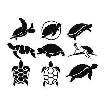 Turtle icon vector Stock Illustration