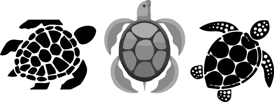 Turtle icon on white background Stockillustratie