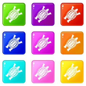 Turtle icons 9 set Stock Illustration