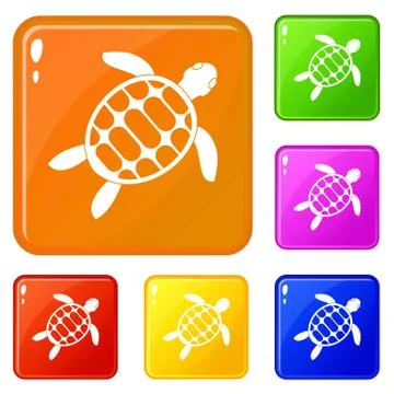 Turtle icons set vector color Stock Illustration