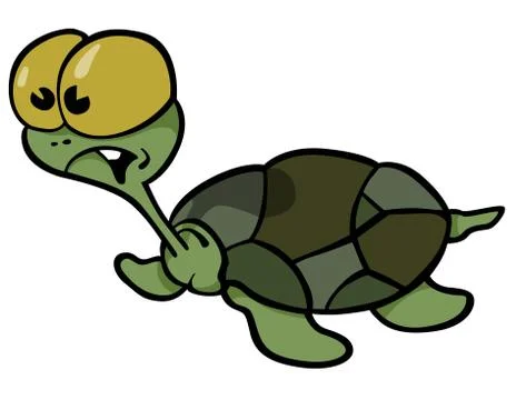 Turtle Stock Illustration