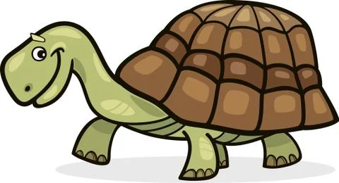 Turtle Illustrazione stock