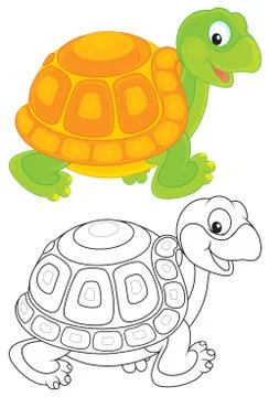 Turtle Stock Illustration