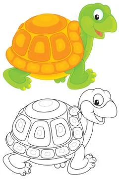 Turtle Stock Illustration