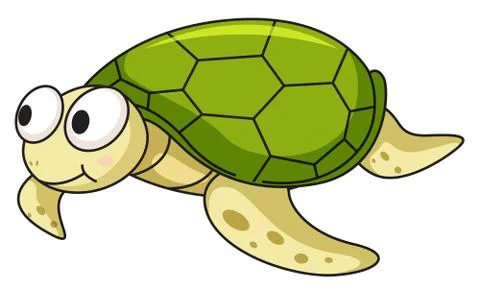 Turtle Illustrazione stock