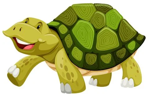 Turtle Stock Illustration