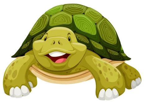 Turtle Stock Illustration