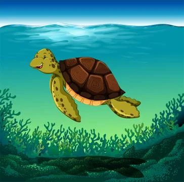 Turtle Stock Illustration