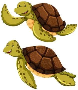 Turtle Stock Illustration