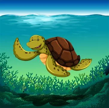 Turtle Stock Illustration