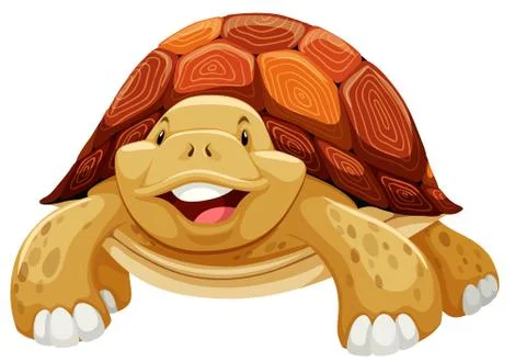 Turtle Stock Illustration