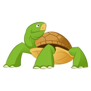 Turtle Stock Illustration